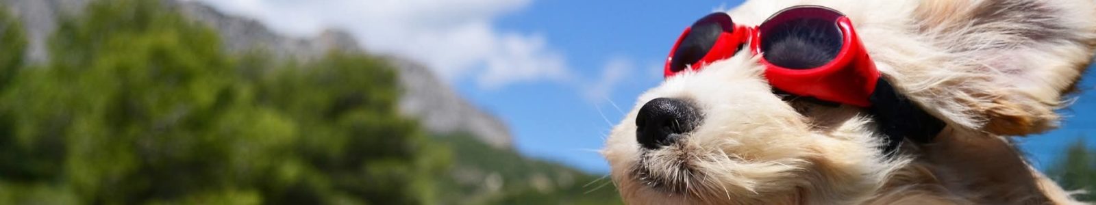 Fb Img 1750432751006