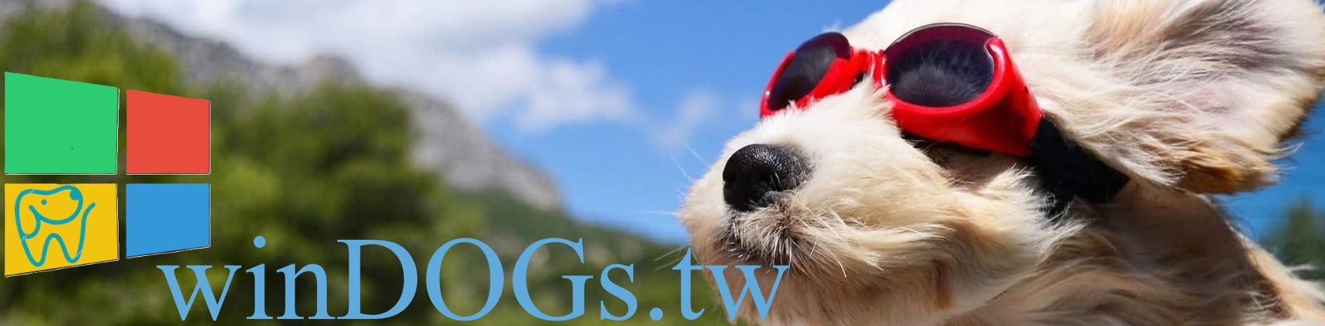 winDOGs.tw