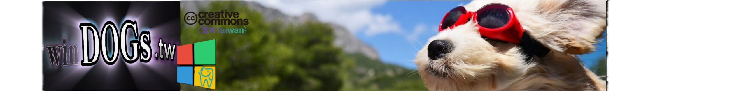 winDOGs.tw @